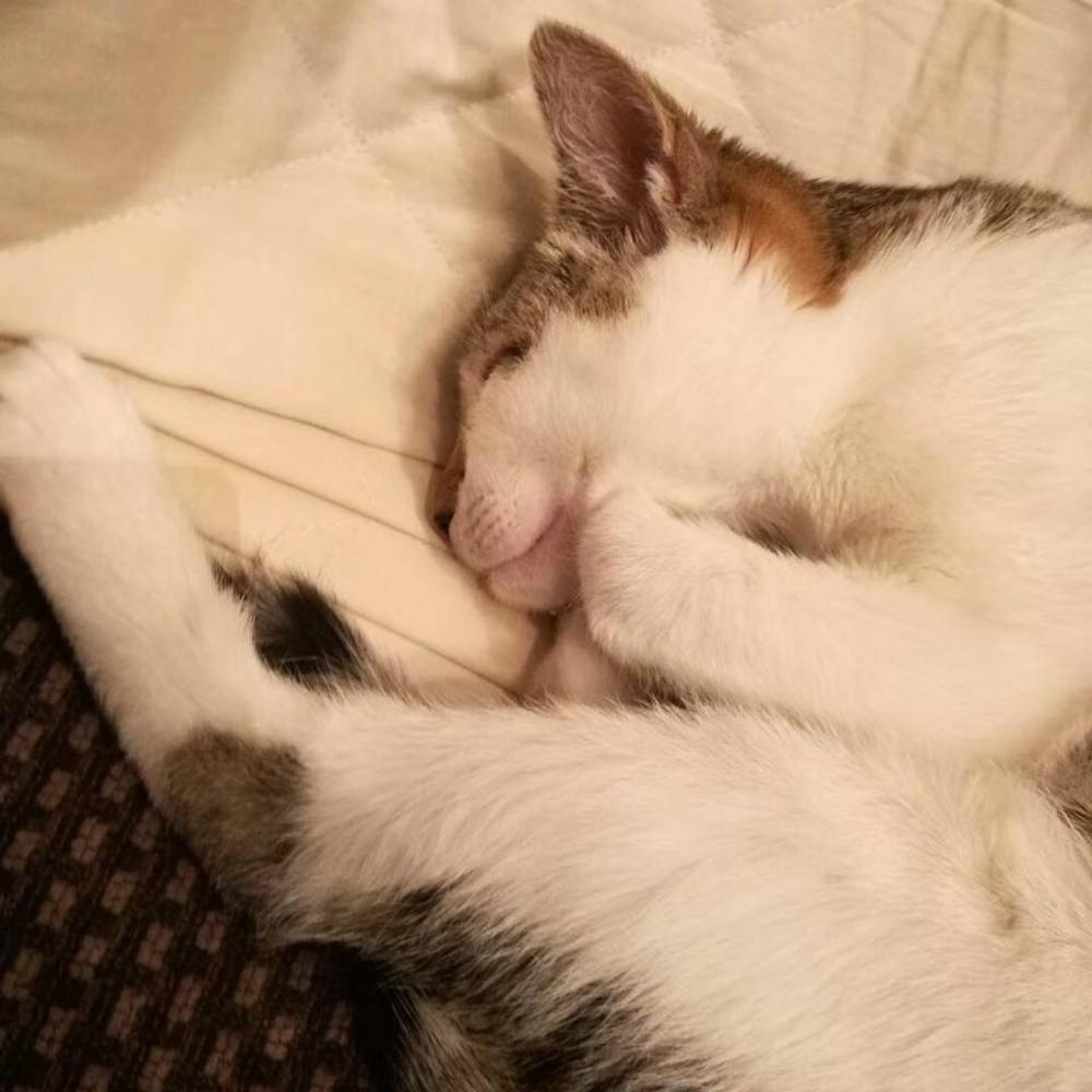 Meet your Posher, Zoe